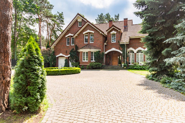 Best Affordable Driveway Paving  in Rio Rico, AZ