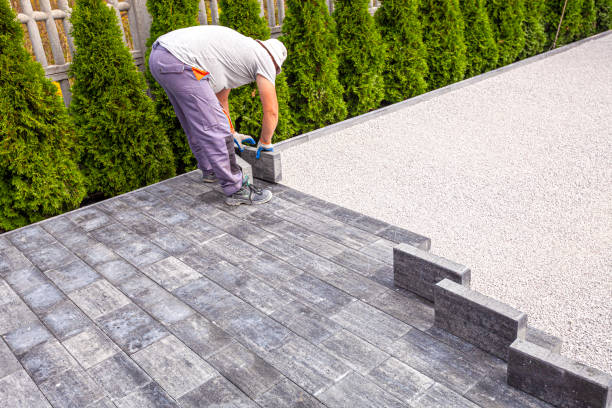 Best Concrete Paver Driveway  in Rio Rico, AZ
