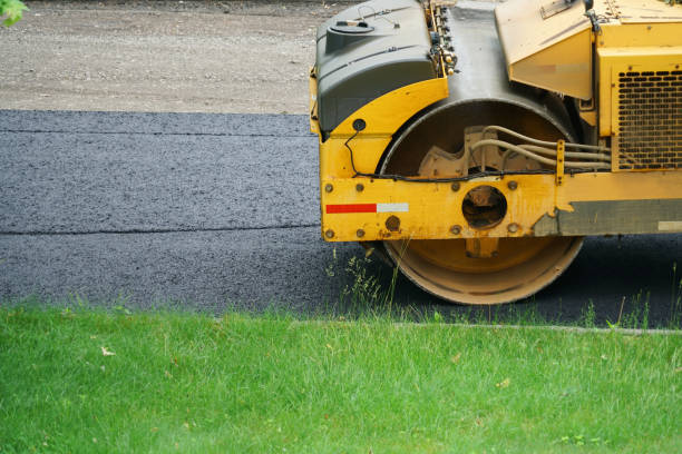 Best Driveway Pavers Near Me  in Rio Rico, AZ