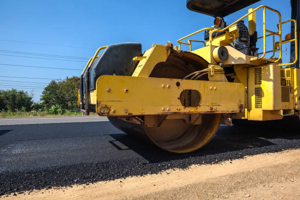 Best Residential Driveway Paver Services  in Rio Rico, AZ